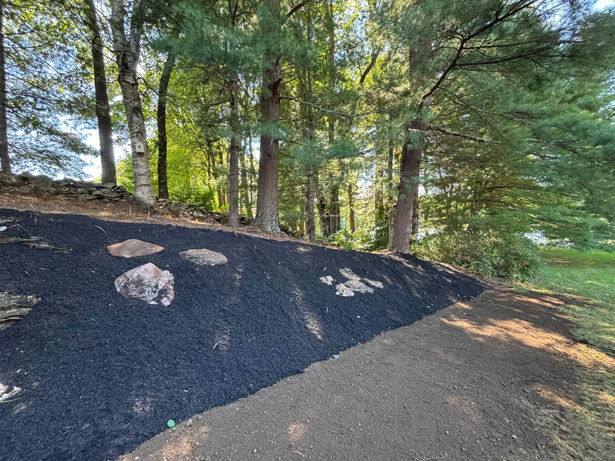 After — clean lawn established along property edge, Spencer MA